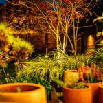 Evening garden scene with terracotta pots, foliage and feature lighting at 4 Bell Crescent, Davenham.