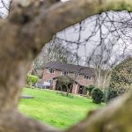 Rear elevation of detached home framed through trees at Brock Lodge, Northwich Cheshire