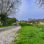 Private driveway approach to Hall Green Barn in Acton Bridge, bordered by seasonal planting and countryside surroundings