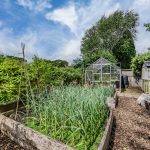 Productive kitchen garden with raised vegetable beds and greenhouse adding further appeal to the generous rear garden at 219 Hartford Road, Davenham.