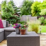 Landscaped rear garden viewed from the entertaining terrace.