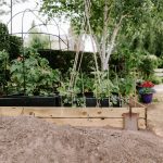 Established garden growing area with raised beds at 25 Hadrian Way, Sandiway.